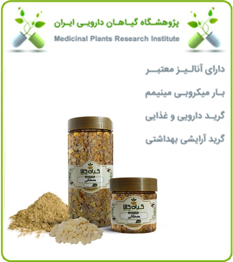 صمغ مصطکی خشک یا پودری بسته بندی
