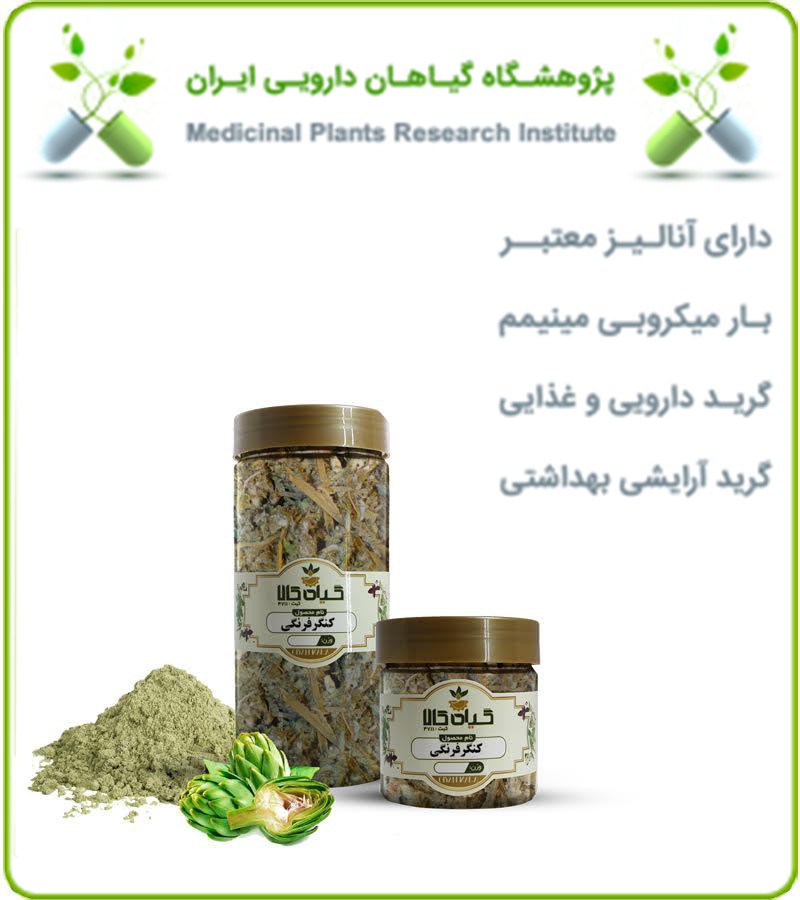 گیاه کنگر فرنگی خشک یا پودری بسته بندی