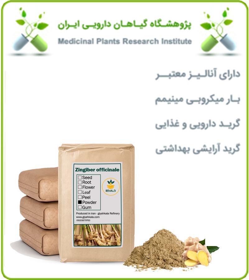 پودر ریشه زنجبیل فله
